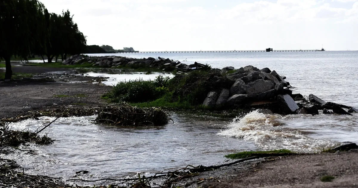 Homicidio en la costa: hallan a un hombre con tres disparos en La Plata