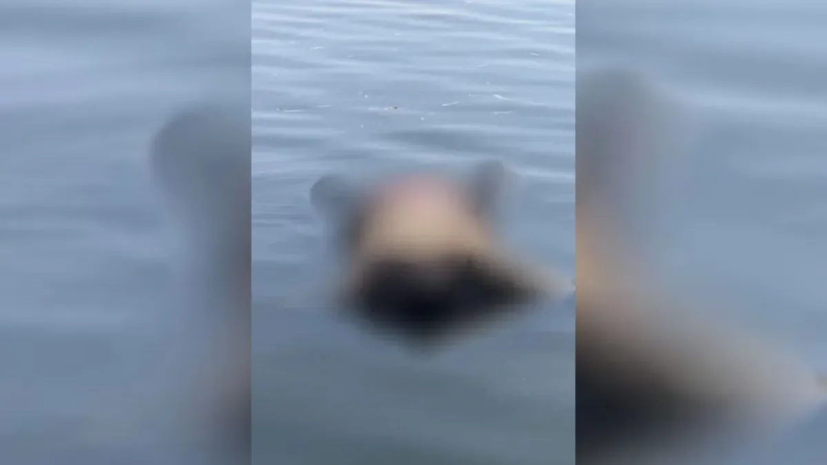 Identifican al fallecido en la Autopista gracias a sus tatuajes distintivos