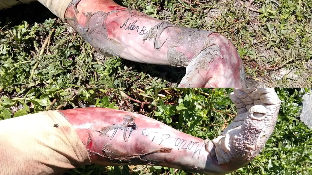 Imágenes impactantes del cadáver hallado en Ensenada generan temor en la comunidad