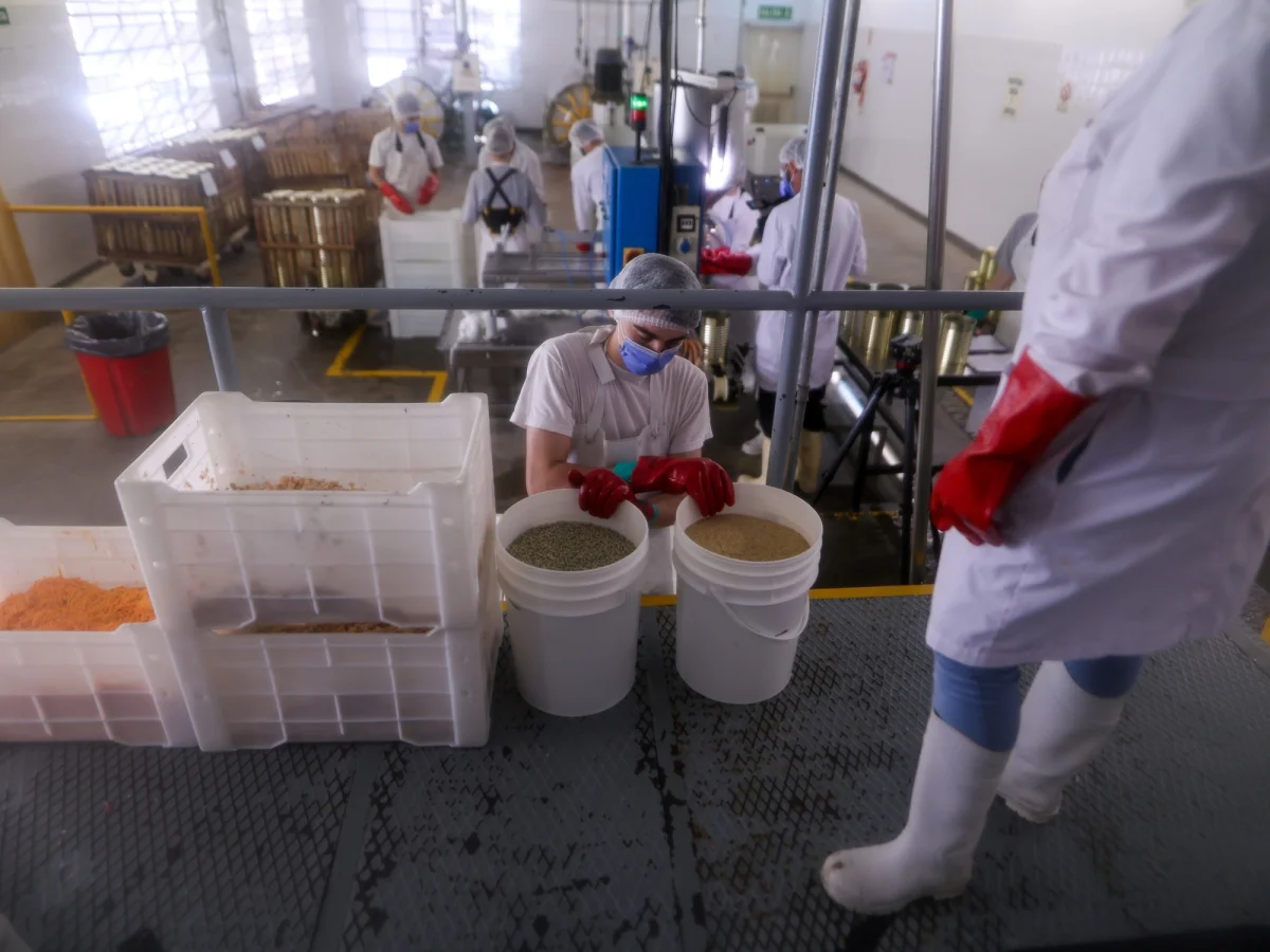 Impacto de las proyecciones del Banco Mundial en la economía de La Plata y Berisso