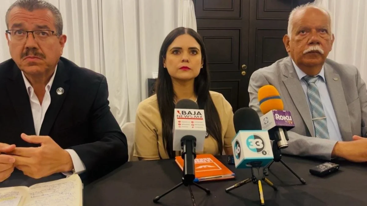 Impacto del freno económico: comerciantes de Ensenada enfrentan dificultades crecientes