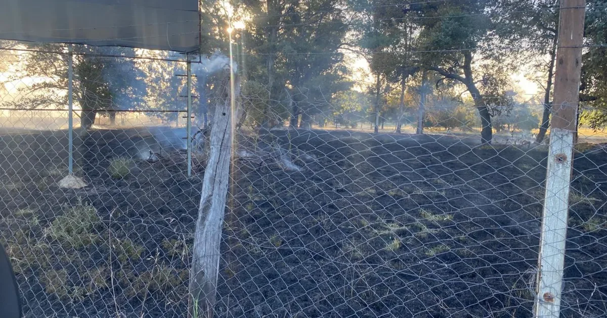 Incendio de pastizales amenaza a la Quinta de Macabi: vecinos en alerta en City Bell