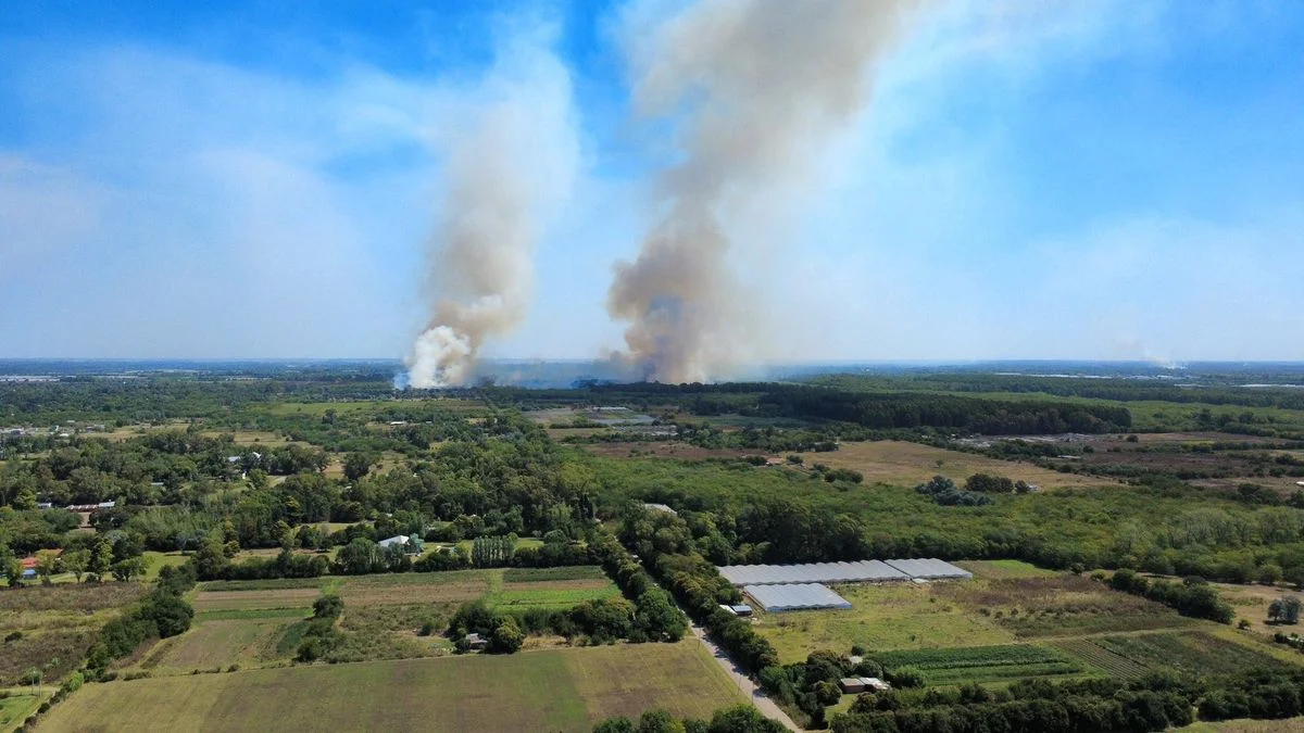 Incendio descontrolado en Ruta 6: vecinos de la zona temen por sus casas