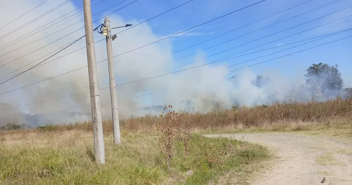 Incendio en La Plata: 10 hectáreas devastadas y evacuaciones en el barrio afectado