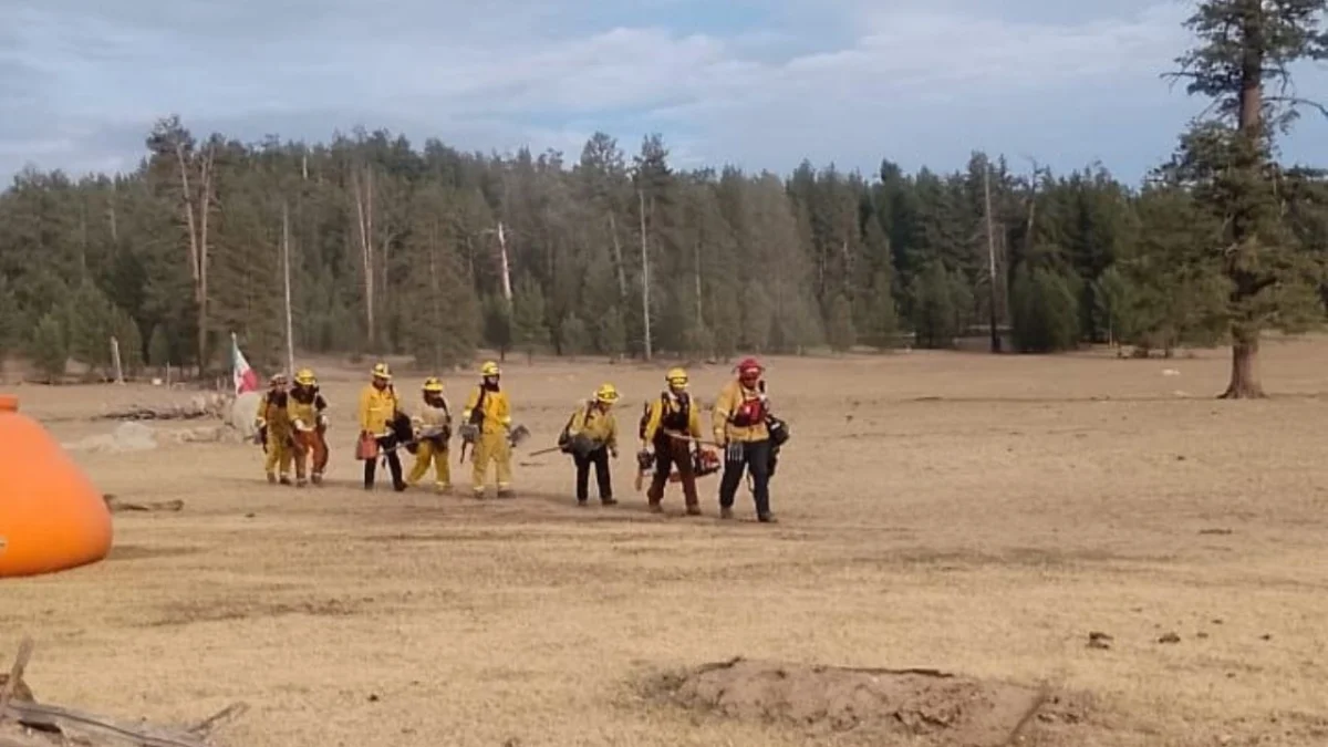 Incendio en la sierra: vecinos preocupados por el avance del fuego en la región
