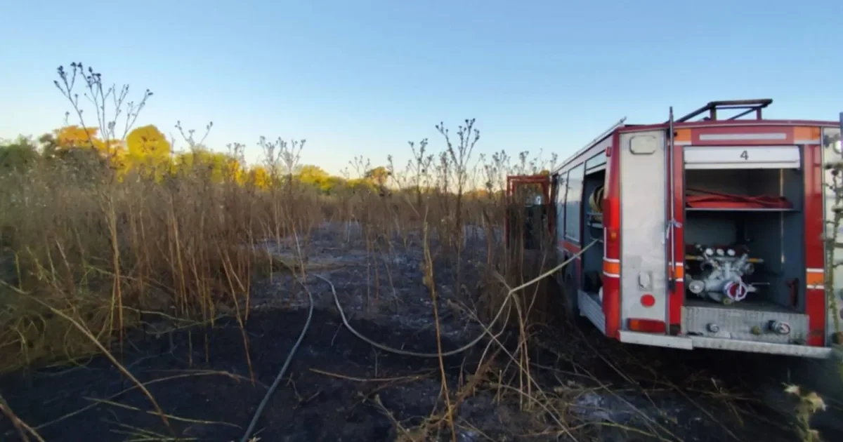 Incendio en Parque Pereyra: una hectárea afectada y preocupación entre los vecinos