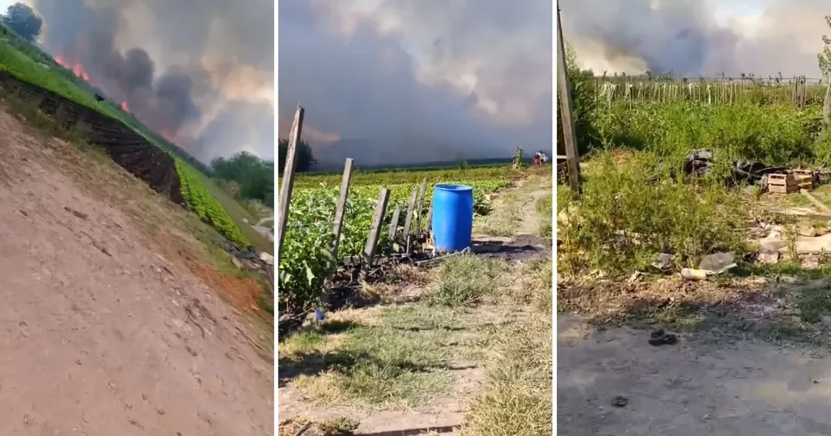 Incendios forestales alertan a los vecinos de Arturo Seguí: videos impactantes en circulación