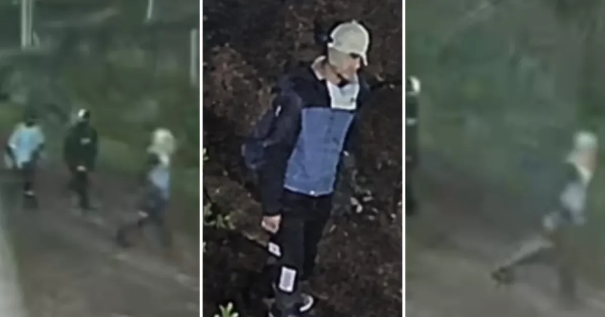 Inseguridad en La Plata: robos en cuatro viviendas de un barrio afectan a vecinos y comerciantes