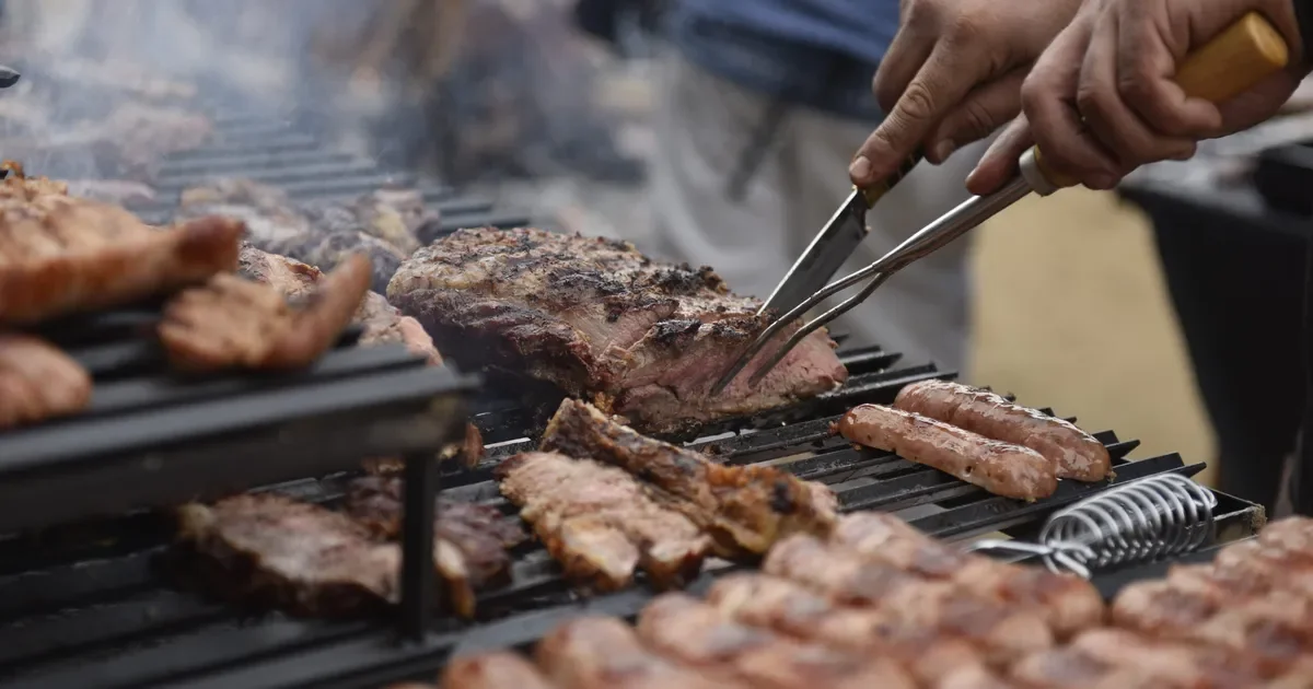 Intrusión en La Plata: dos ladrones sorprendidos en casa de vecina tras asado.