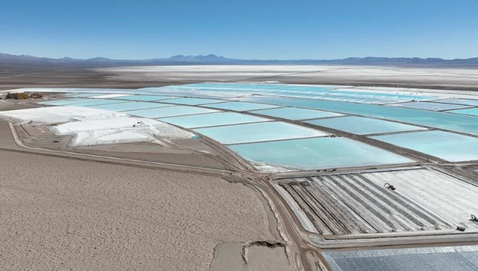 Inversión extranjera: sectores críticos de la economía argentina requieren atención urgente