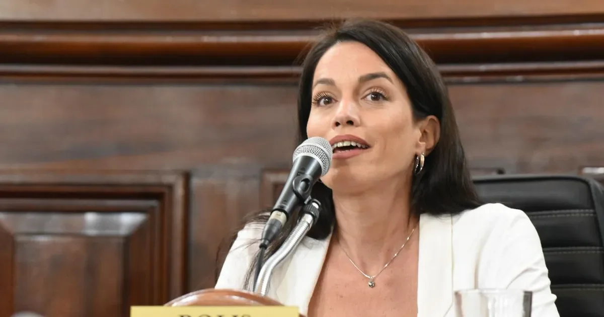 Josefina Bolis desafía al PRO y critica la postura del peronismo sobre la inseguridad