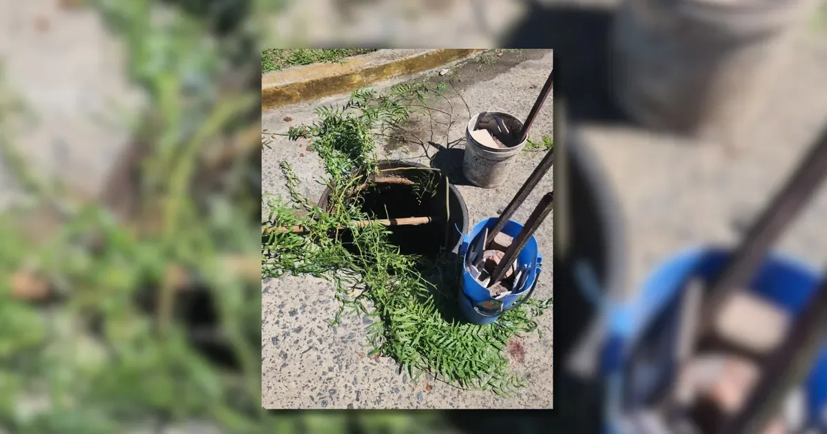 Jubilada herida tras caer en pozo por tapa de alcantarilla robada en Tolosa