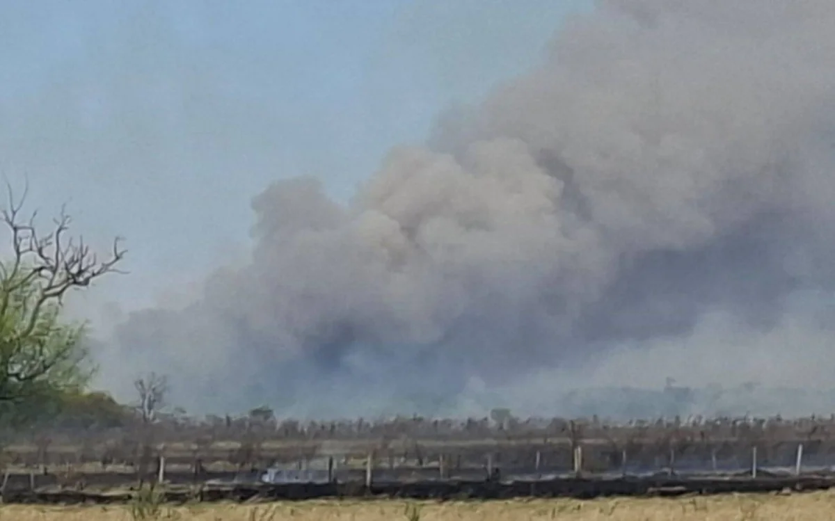 La Balandra en llamas: vecinos preocupados por el gran operativo de emergencia