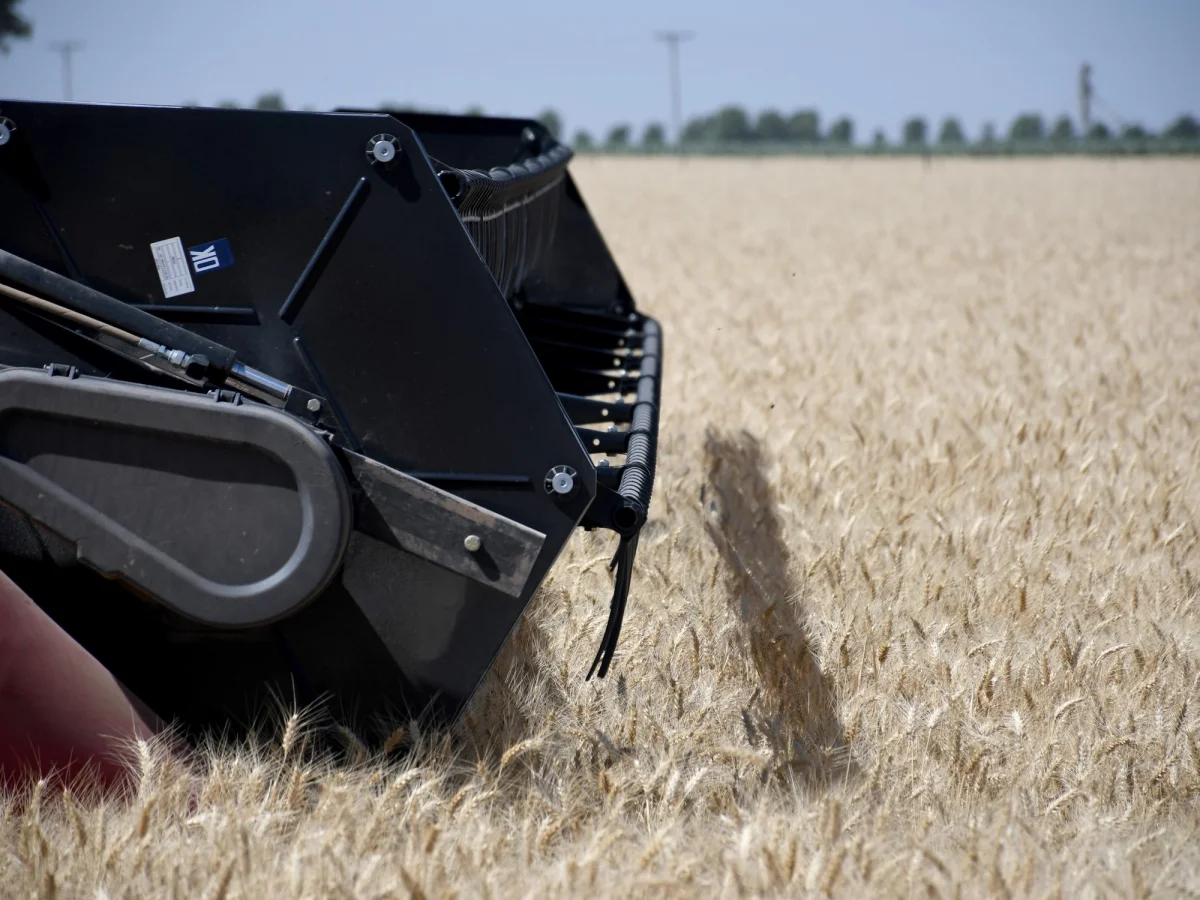 La cosecha de trigo en Argentina promete un impacto económico superior a US$ 1.000 en 2025