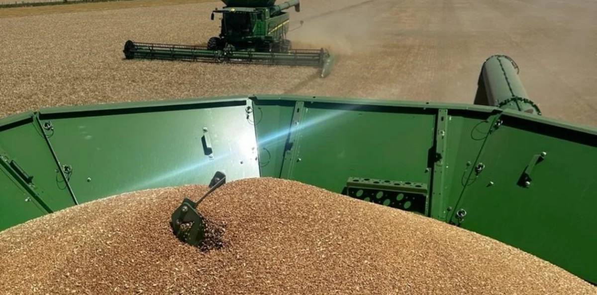 La cosecha récord de trigo en Argentina promete US$ 3.500 millones para la economía local