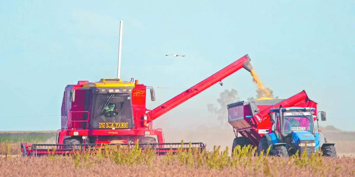 La economía de Ensenada se transforma: el campo y la industria toman protagonismo