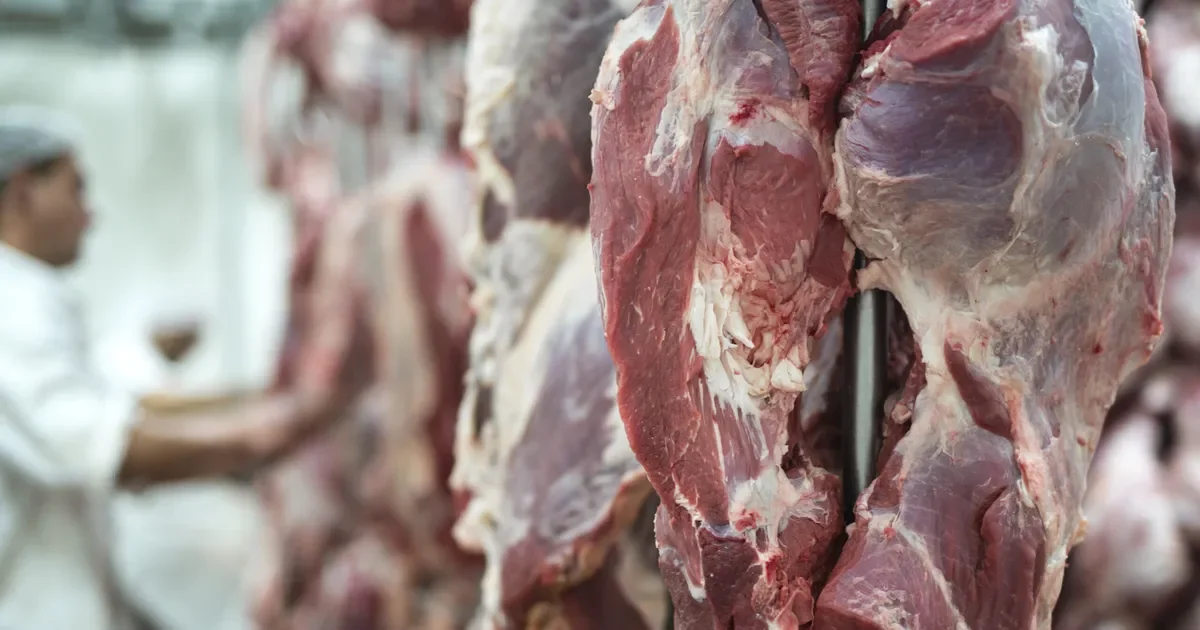 La empresa platense que se adueña de un lucrativo negocio en la exportación de carne