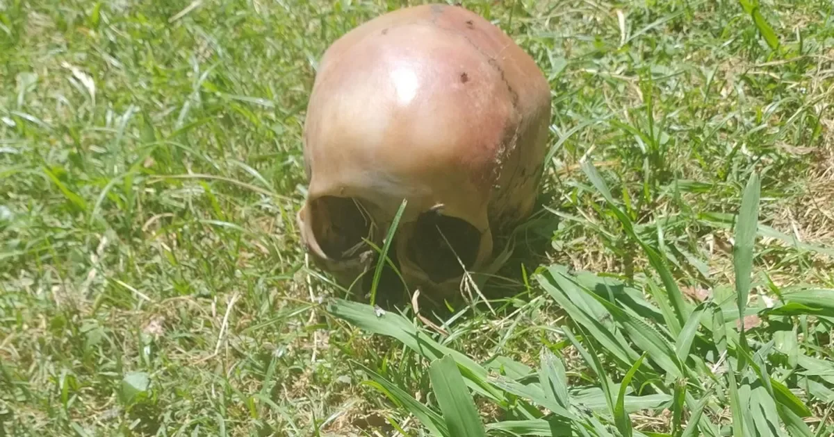 La Justicia profundiza la investigación tras el hallazgo de un cráneo en La Plata