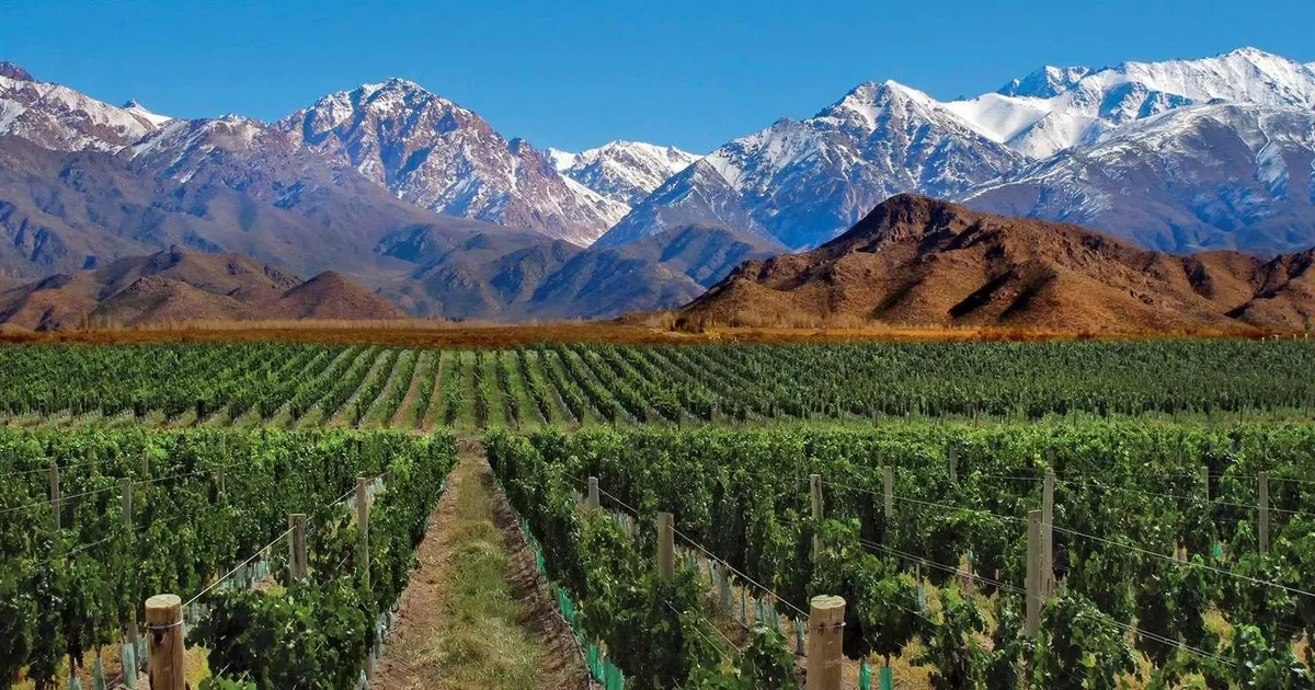 La minería como solución: ¿puede Mendoza salir del estancamiento económico?