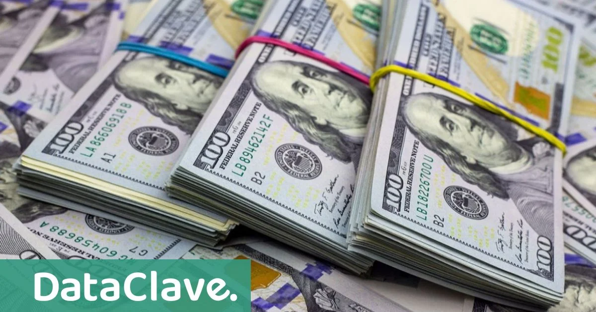 La mora en La Plata crece y preocupa a comerciantes y vecinos de la región.