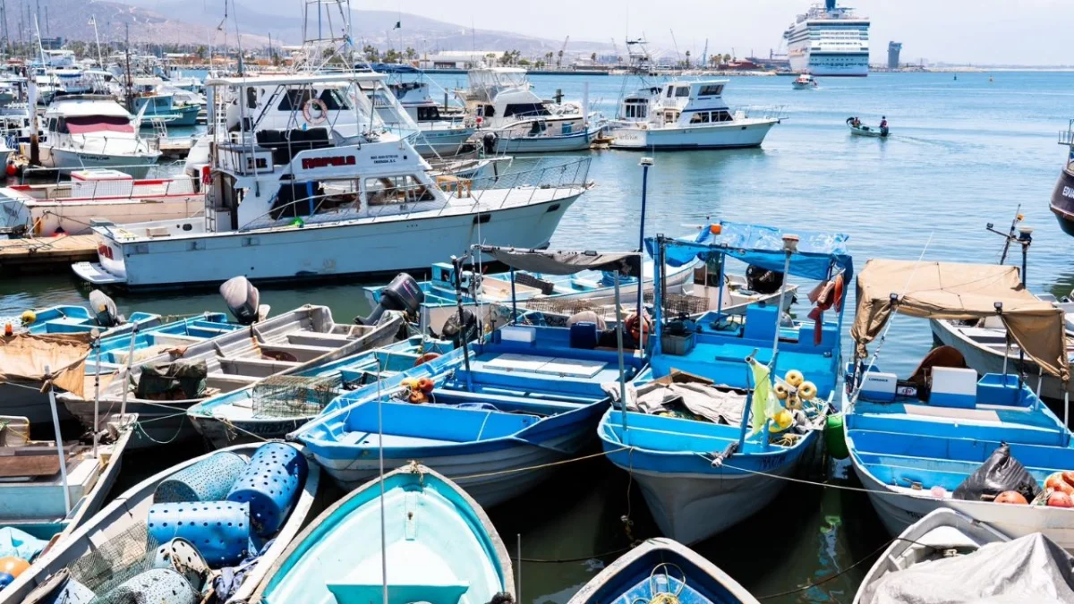 La pesca deportiva impulsa el empleo local y beneficia a comerciantes en El Vigía
