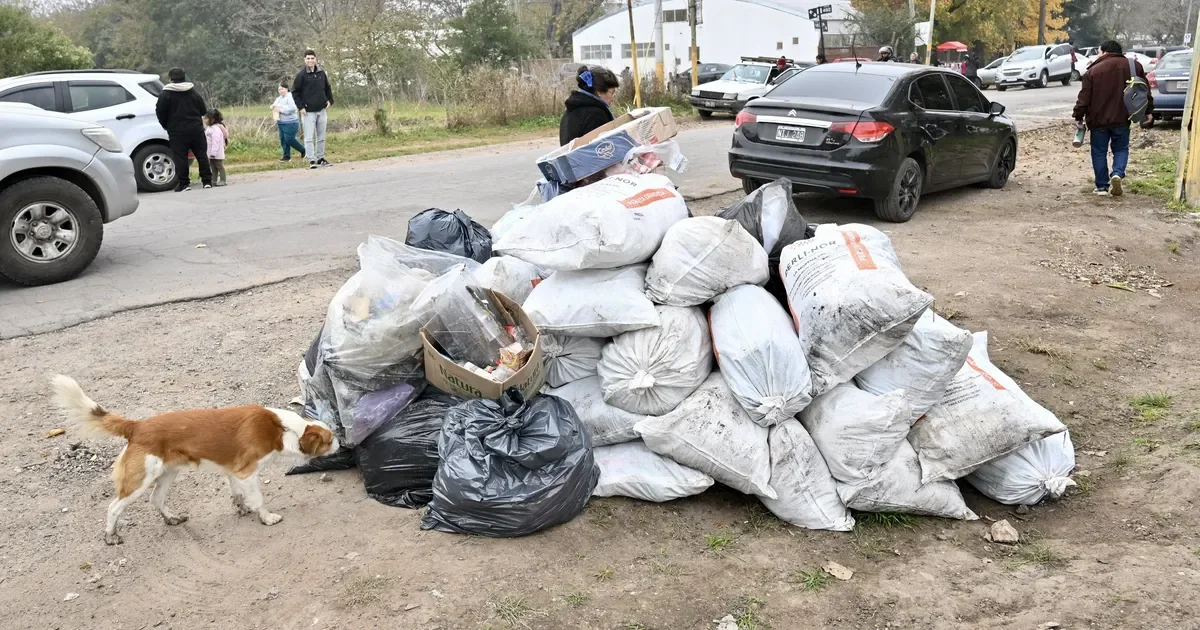 La Plata activa juicios vecinales para responsabilizar a infractores en contravenciones graves