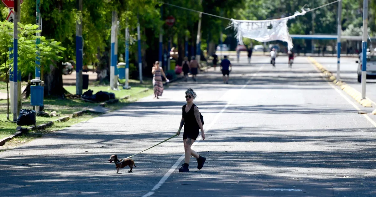 La Plata aprovecha un domingo soleado: actividades al aire libre en parques y plazas