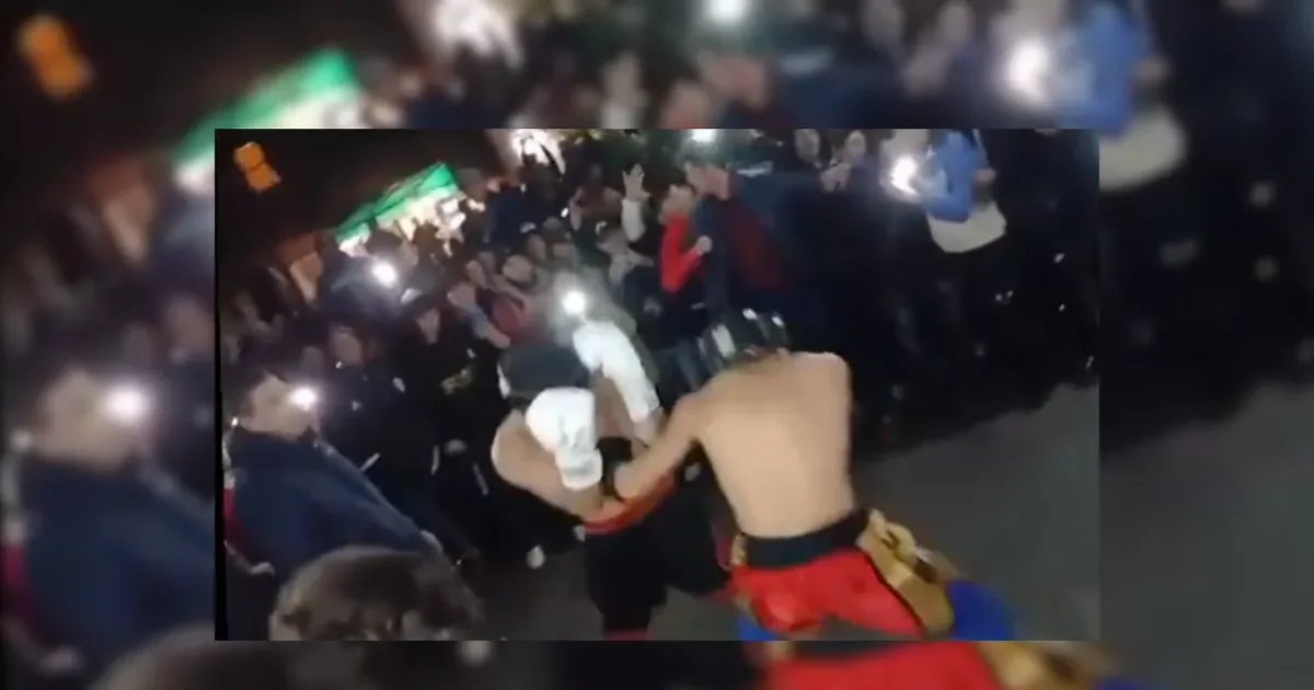 La Plata bajo la lupa: indagan a organizadores de pelea callejera viralizada