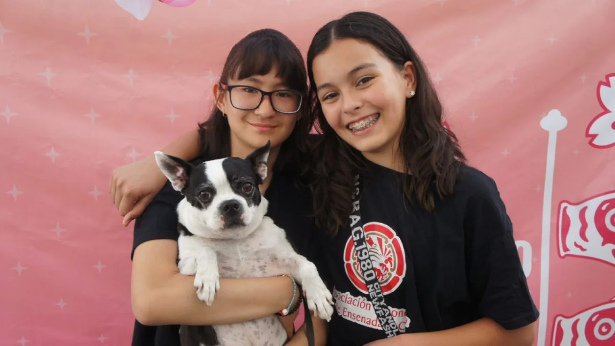 La Plata celebra la cultura japonesa con una muestra en El Vigía