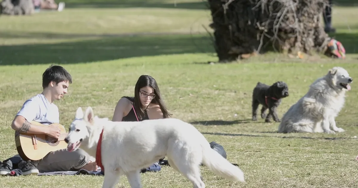 La Plata disfruta de un fin de semana soleado, perfecto para actividades al aire libre