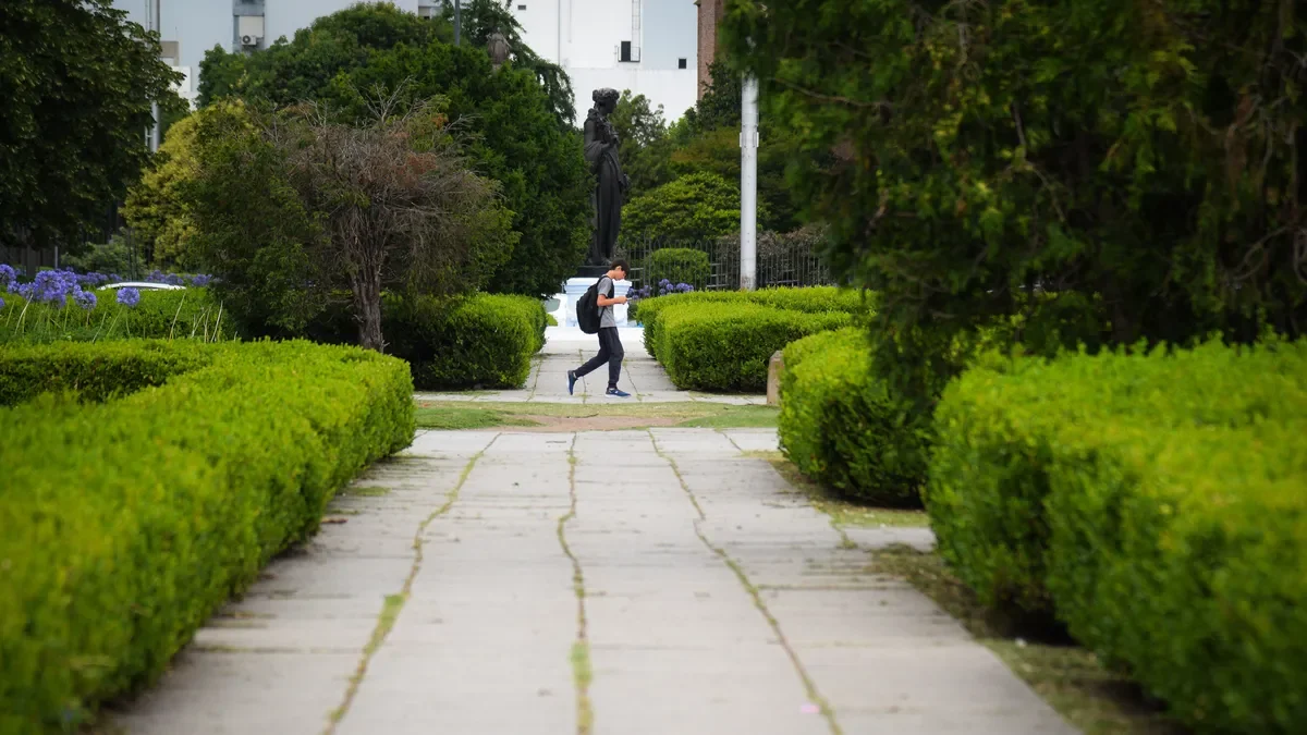 La Plata disfruta de un jueves fresco: pronóstico de alivio térmico para los vecinos