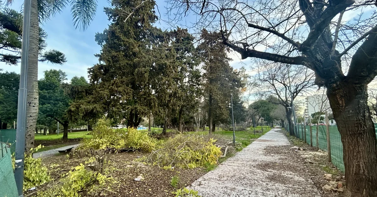 La Plata en shock: hallan a otra joven muerta en el Parque Saavedra en menos de una semana