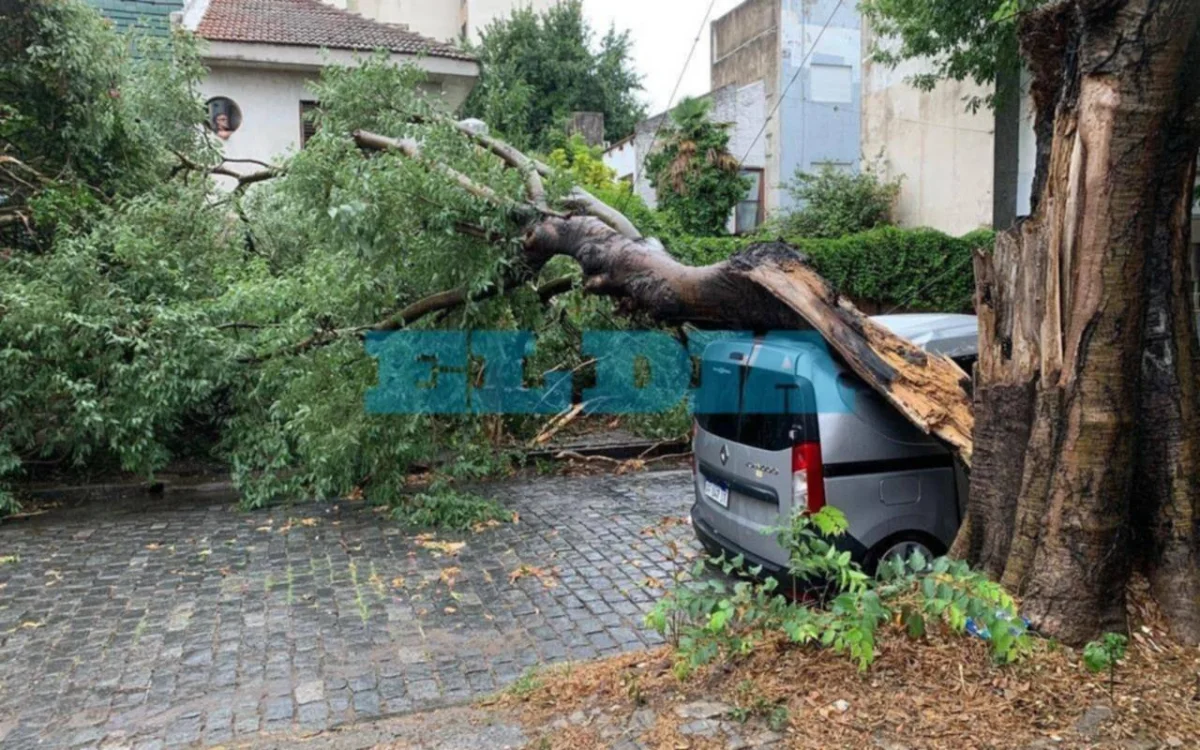 La Plata enfrenta alerta amarilla: granizo y fuertes vientos azotan varios barrios