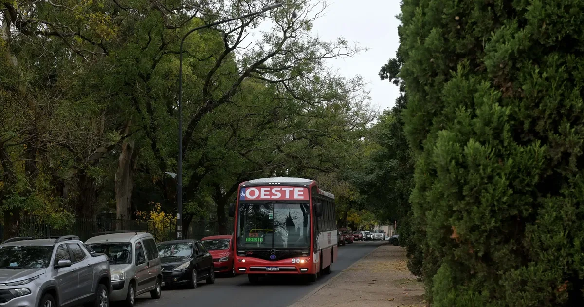 La Plata enfrenta escasez de choferes: empresa de micros busca incorporar personal urgente
