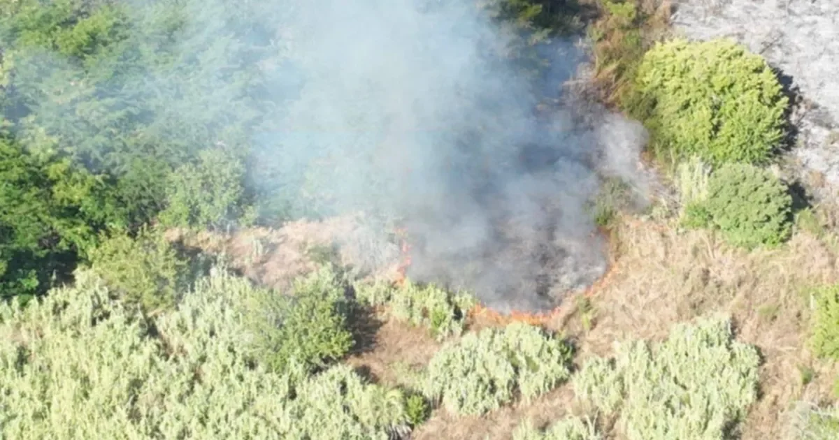 La Plata enfrenta riesgo por incendio forestal cerca de fábrica emblemática