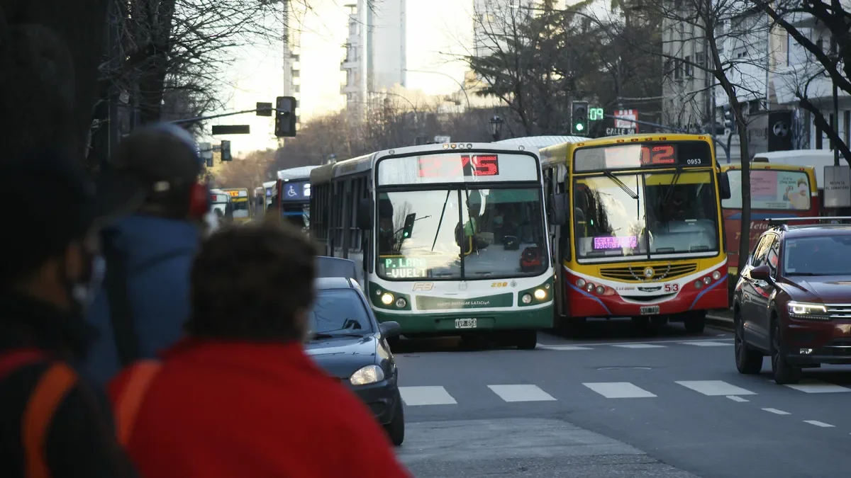 La Plata establece nuevas empresas de transporte público para mejorar el servicio a vecinos