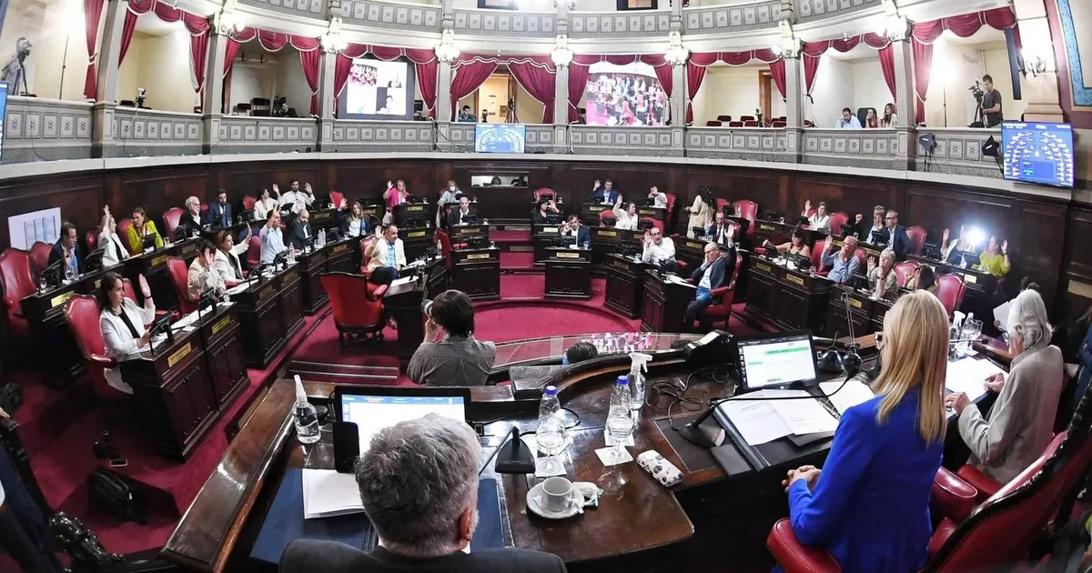 La Plata exige respuestas a Alak y Magario sobre denuncias de abusos en el Senado