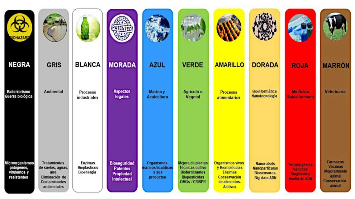 La Plata impulsa innovación: un arcoíris biotecnológico transforma su economía local
