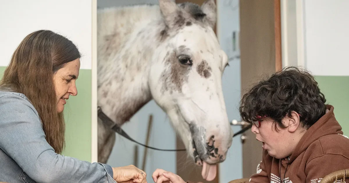 La Plata impulsa la terapia con caballos: un alivio emocional para pacientes vulnerables