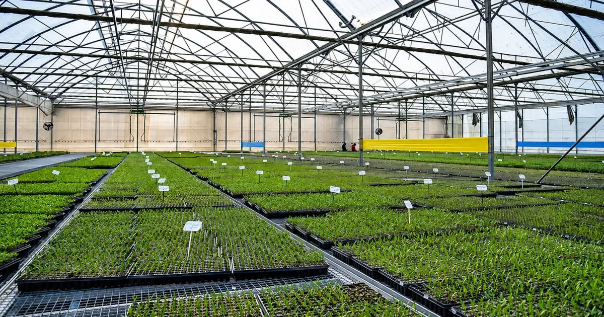 La Plata impulsará una planta de frío para evitar pérdidas en la producción frutihortícola