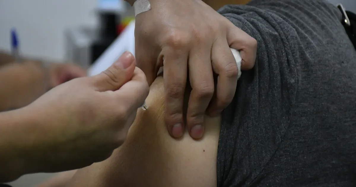 La Plata intensifica jornadas de salud en barrios para combatir hantavirus y dengue