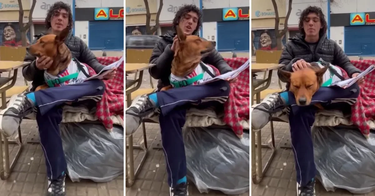 La Plata: mujer y su perro buscan hogar mientras la comunidad se solidariza