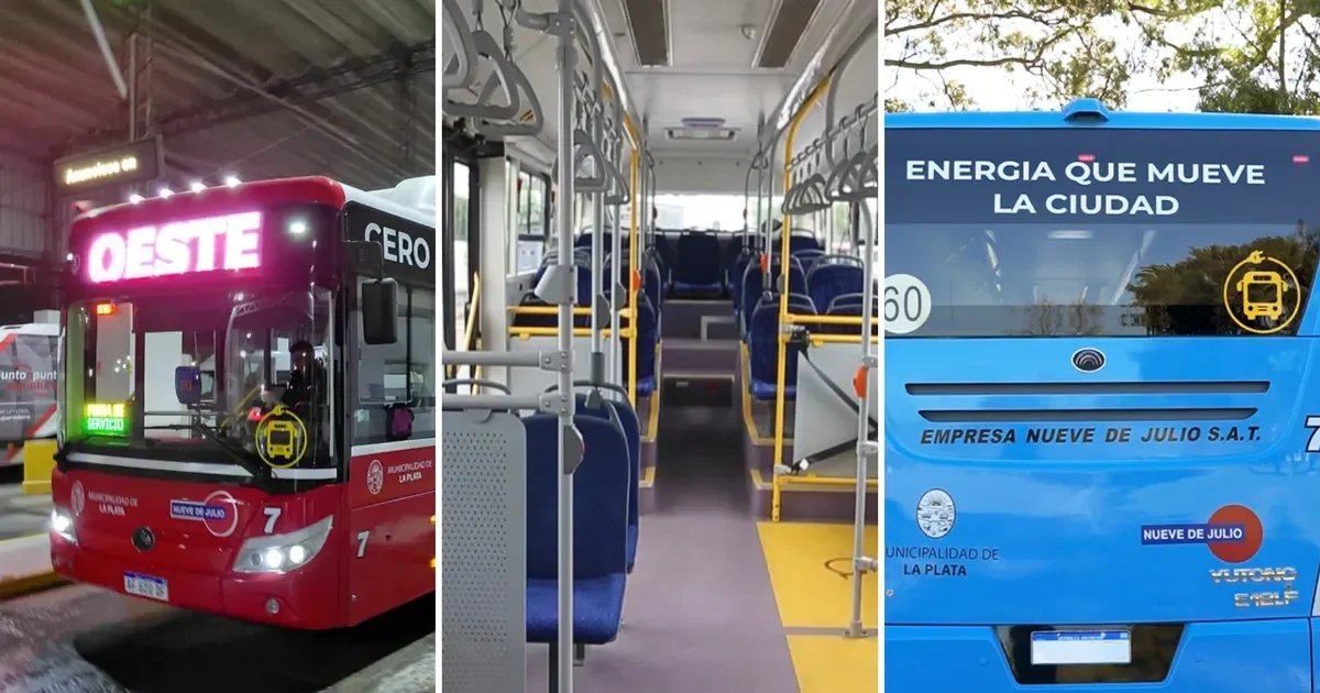 La Plata presenta su primer micro eléctrico: 200 km de autonomía y comodidad para los pasajeros