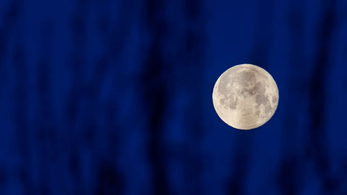 La Plata se prepara para el avistamiento de la espectacular Luna de Nieve esta semana.