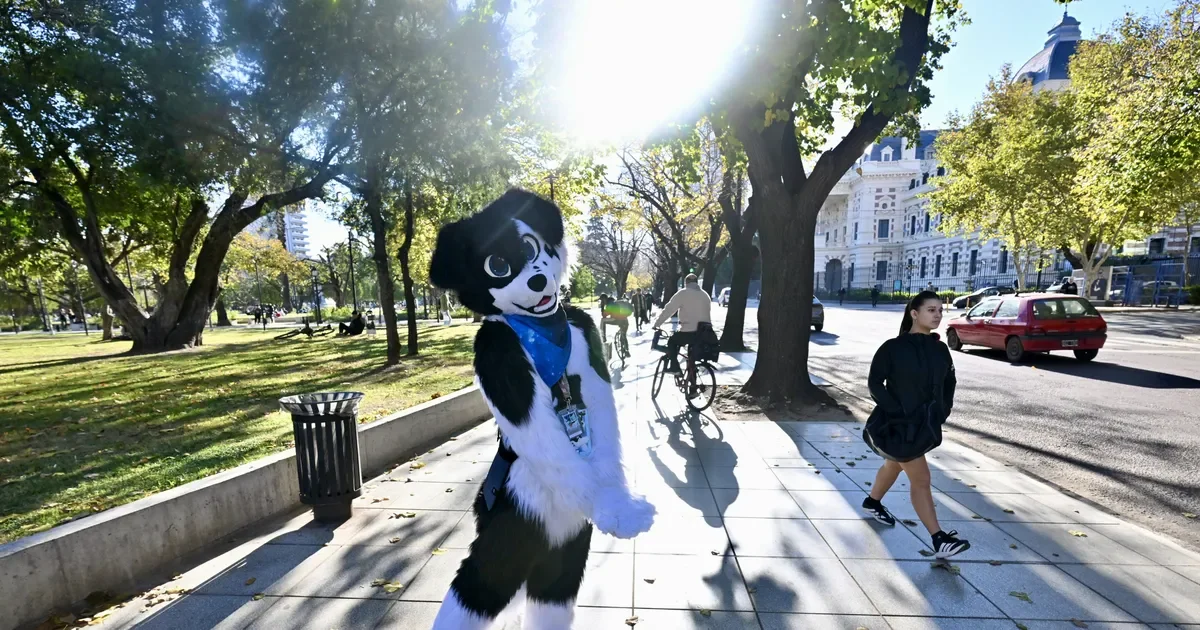 La Plata se prepara para HowlCon 2026: un evento que une a furros y therians.