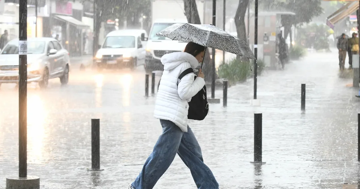 La Plata se prepara para la lluvia: pronóstico anuncia precipitaciones para este miércoles.