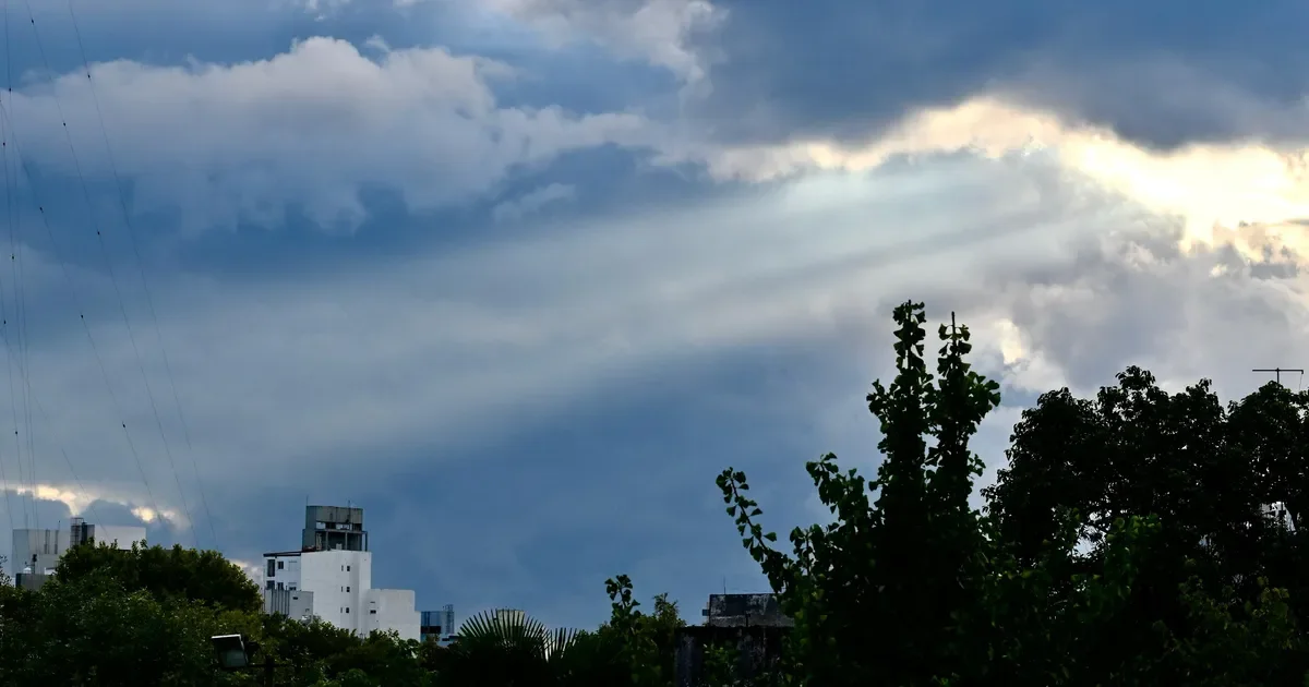 La Plata se prepara para un domingo fresco que marca el final de las vacaciones de invierno
