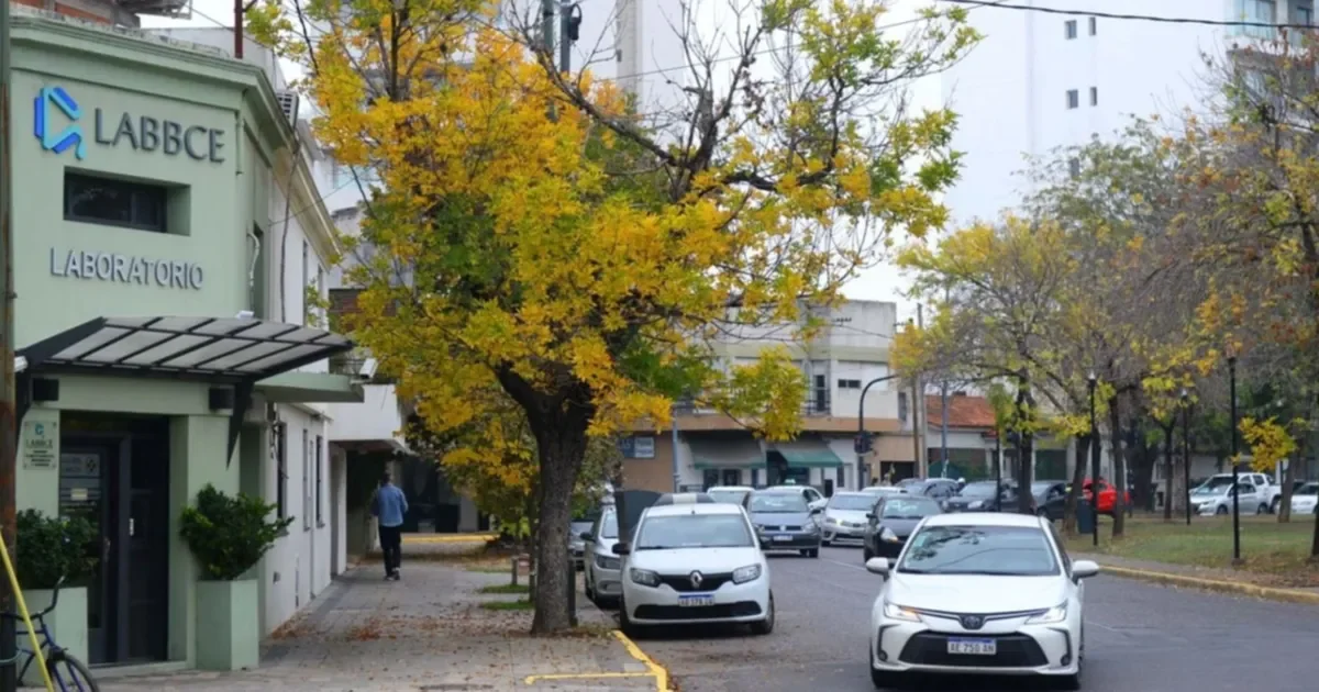 La Plata se prepara para un domingo nublado y húmedo, ideal para planes bajo techo