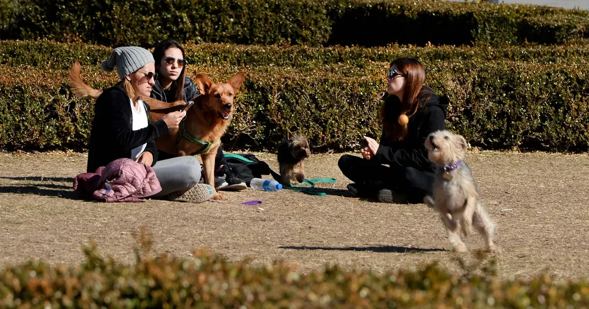 La Plata se prepara para un miércoles soleado tras las tormentas de esta semana