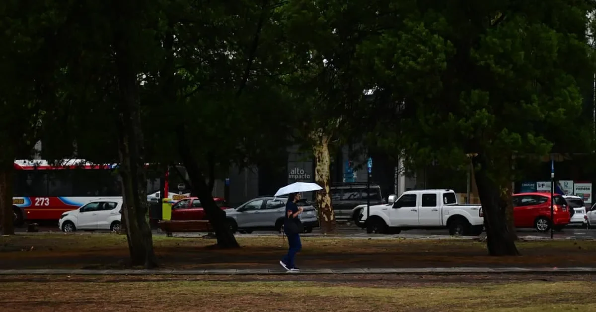 La Plata se prepara para una semana de lluvias: lunes gris y húmedo para los vecinos
